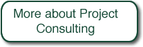 more about project consulting